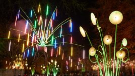 Plant sculptures made of multi-coloured lights