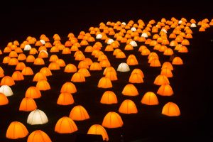 Peace Camp