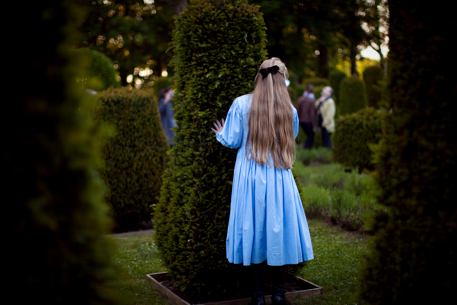 Dining With Alice