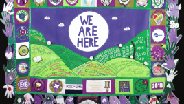 A green a purple banner with the words 