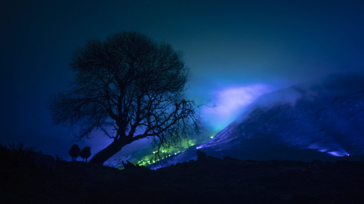 A shadow of the tree and in the backgroud is an emerald and blue light roof over the Connemara mountains valley