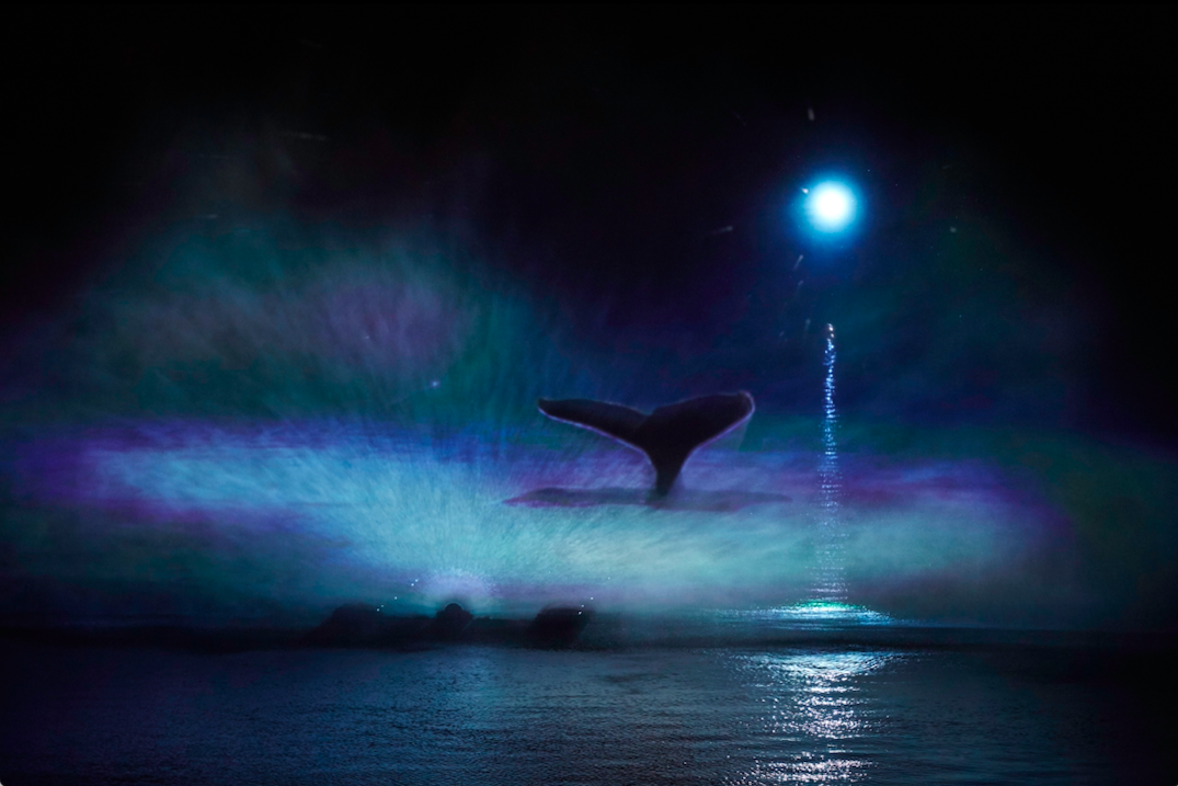 A dark silhouette of a whale tail within a white and light blue splash of water on the River. In the backdrop is a bright white spot of light in the dark sky