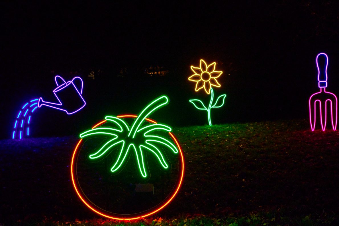 A neon tomato, watering can, flower and garden fork