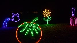 A neon tomato, watering can, flower and garden fork