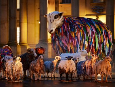 All 23 sheep singing themselves to sleep in St George’s Square.