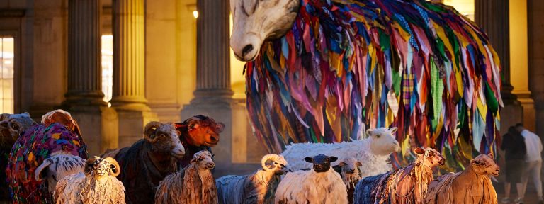 All 23 sheep singing themselves to sleep in St George’s Square.