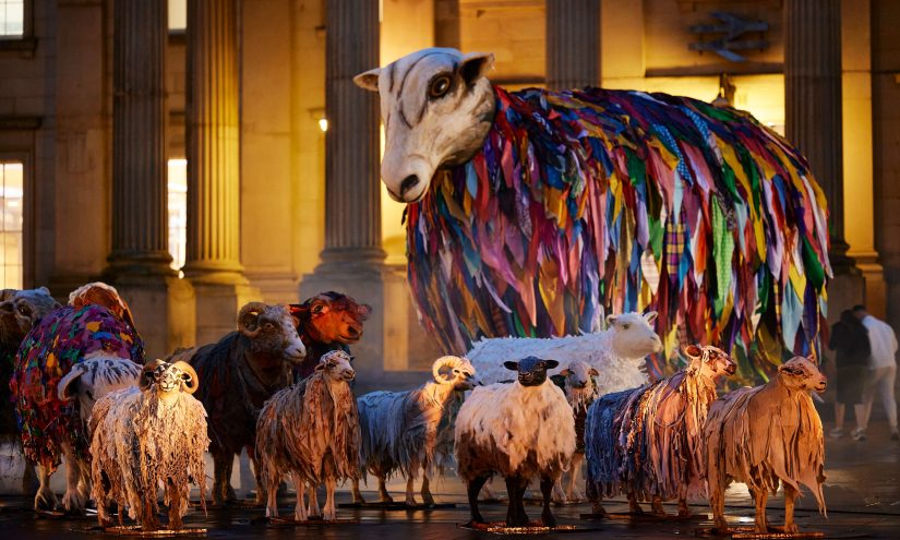 All 23 sheep singing themselves to sleep in St George’s Square.