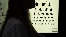 An image of a bus stop digital screen showing the artwork 'Pattern Recognition’ (2023) by Reena Kallat
