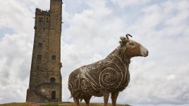 Bumfitt, one of the HERD sheep sculptures, at Castle Hill.