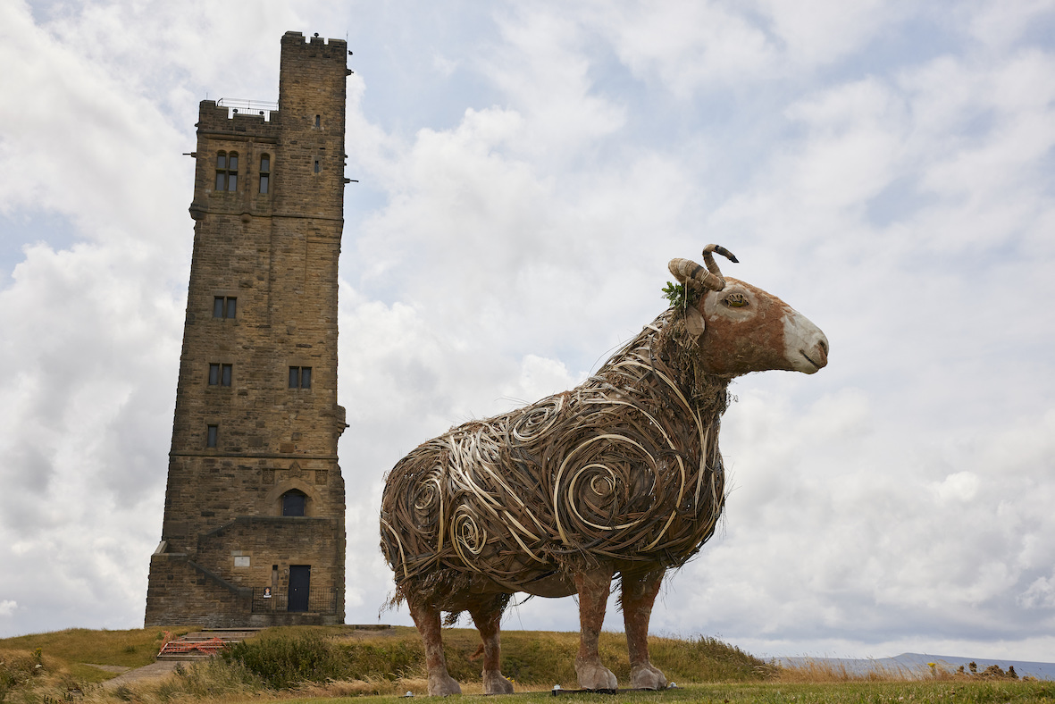 Bumfitt, one of the HERD sheep sculptures, at Castle Hill.