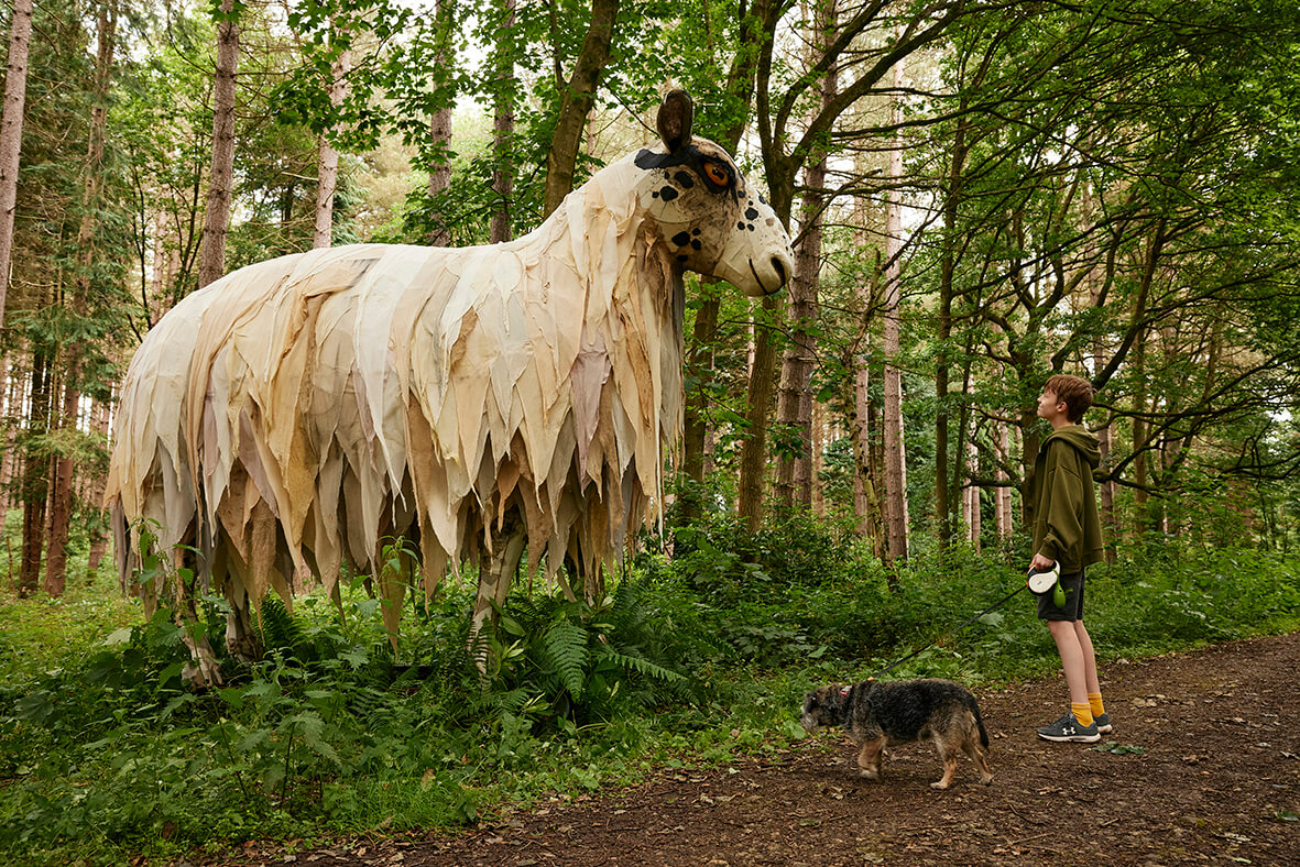 Eddero at Deffer Wood during HERD.