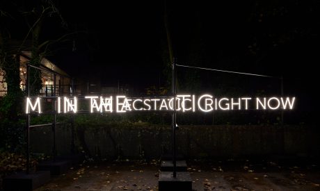 A neon text installation reading 'I Am Ecstatic Right Now' seen at night.