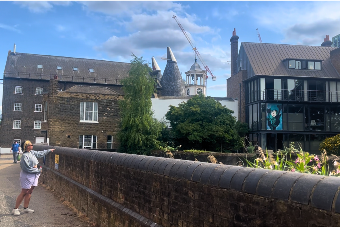 A person stands on a pathway pointing towards a row of historic and modern buildings behind a brick wall, with cranes and cloudy sky in the background. On the facade of one of the buildings is Madge Gill's Nature in Mind artwork - blue illustration and watercolour featuring a mysterious feminine figure